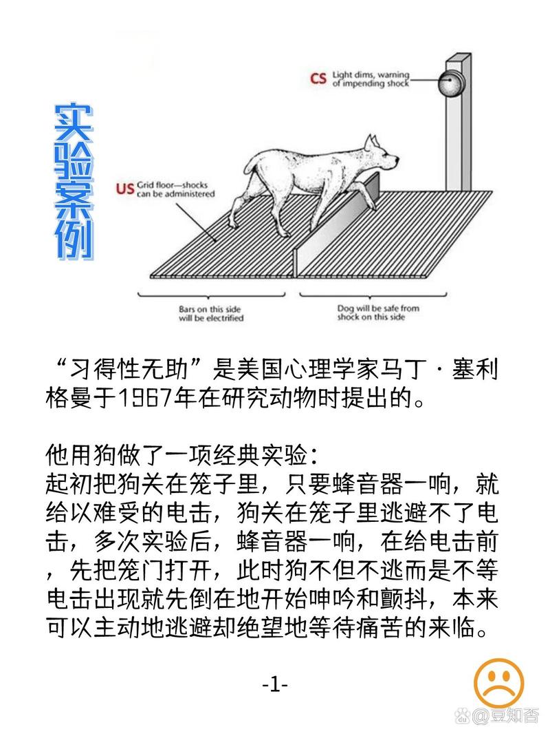 可及性