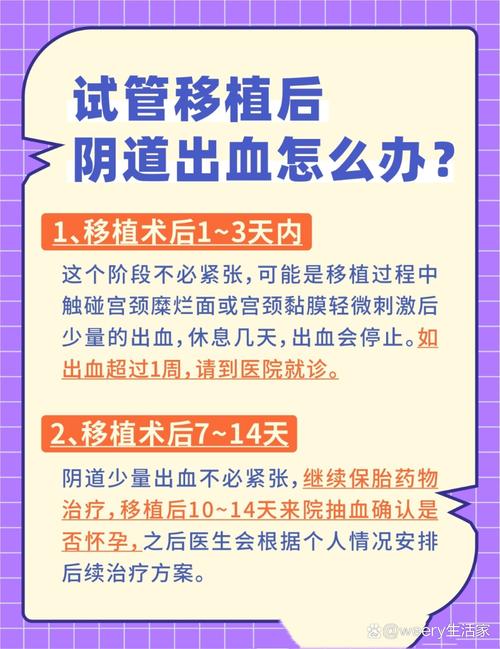 试管婴儿为何常见出血情况？