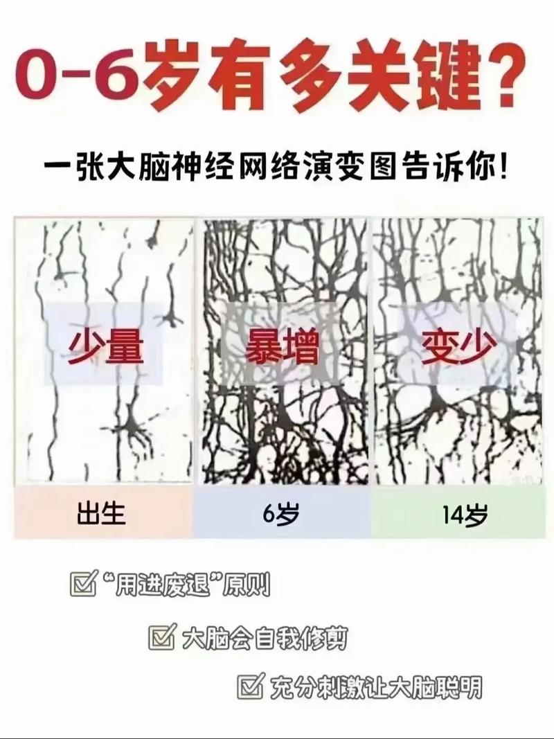  神经发育障碍