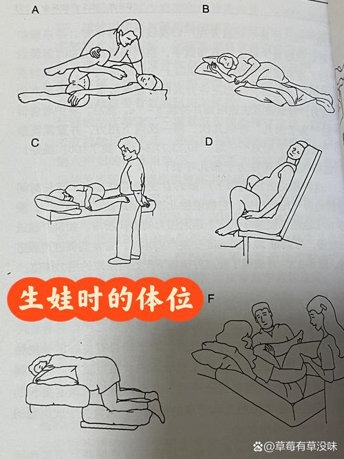生育过程