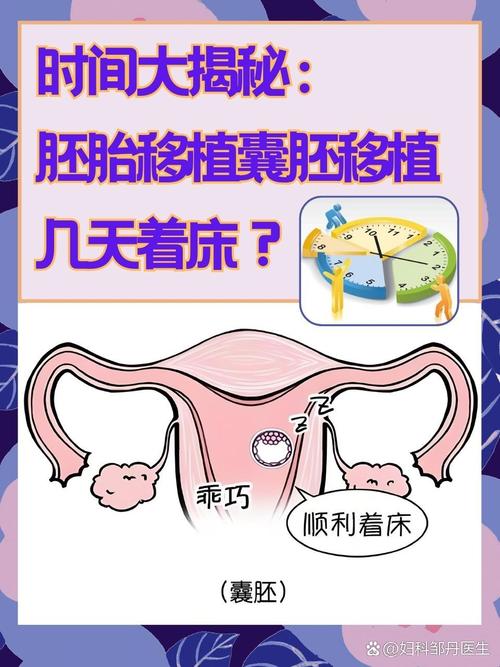 胚囊移植