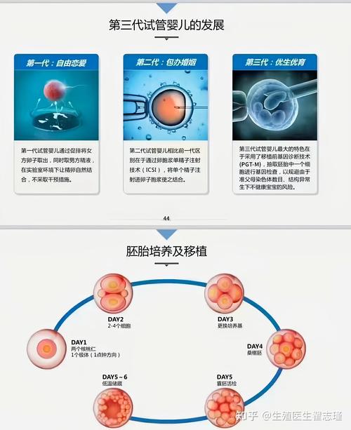 三代试管影响因素