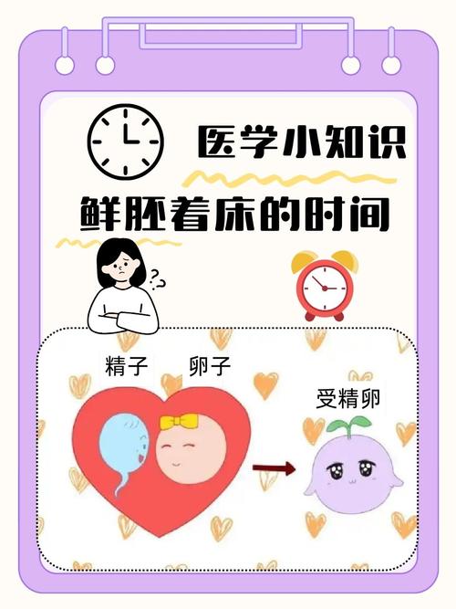 试管婴儿移植后着床需要多久？