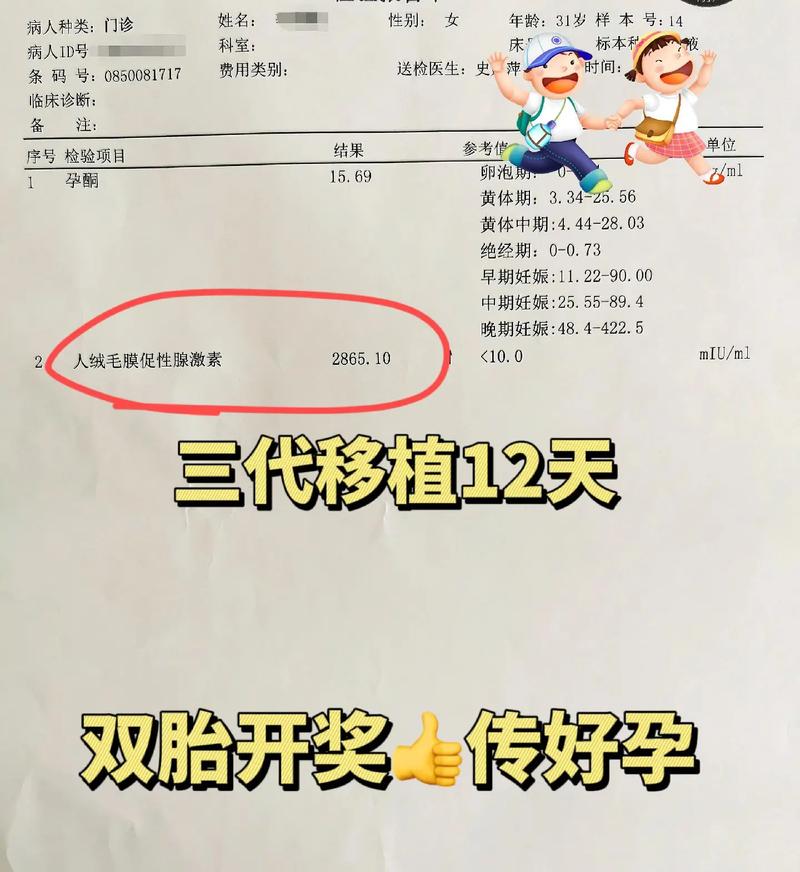 移植俩月