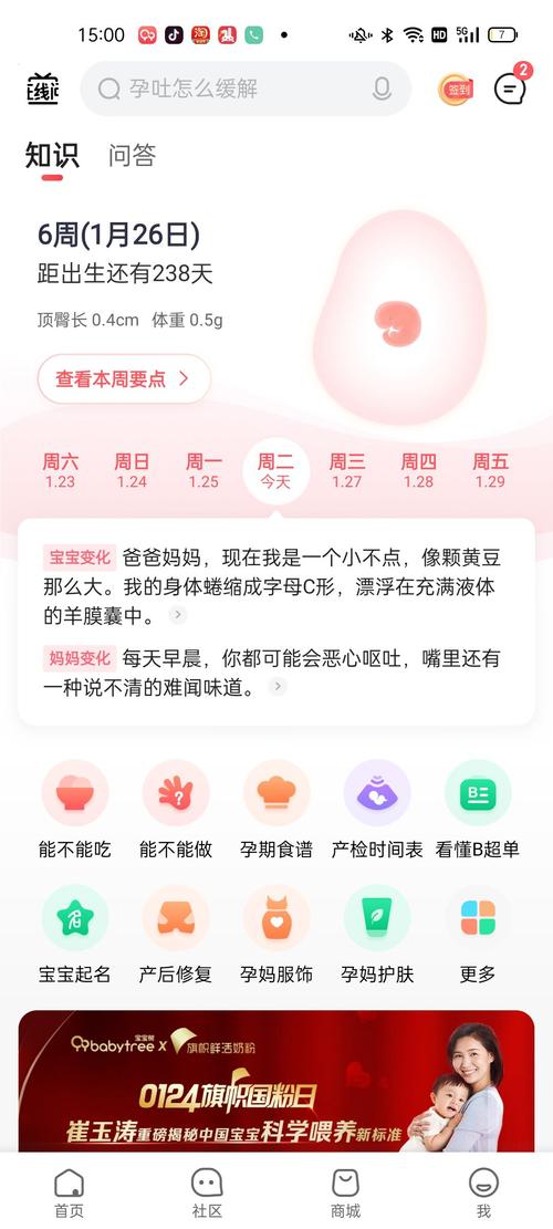 黄豆如何影响试管婴儿成功率？