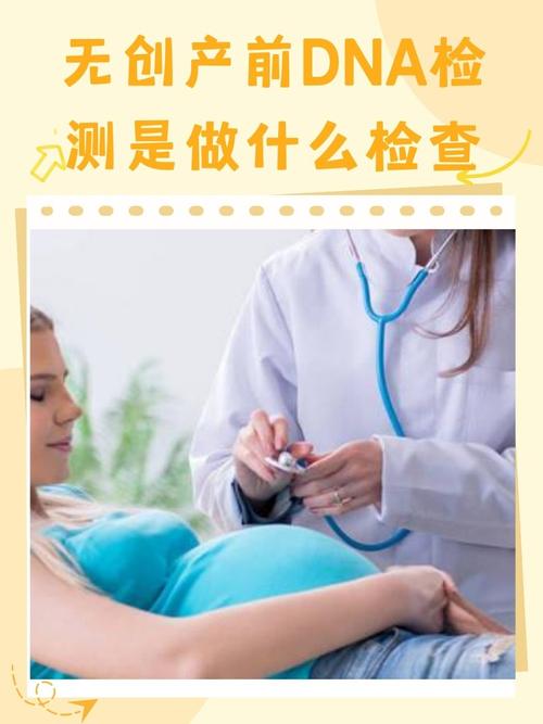 无创胚胎筛查