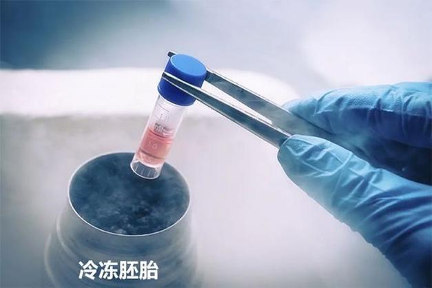 胚胎冷冻保存技术