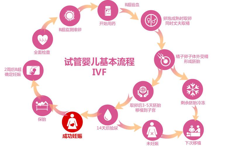 试管婴儿涉及哪些关键步骤？”