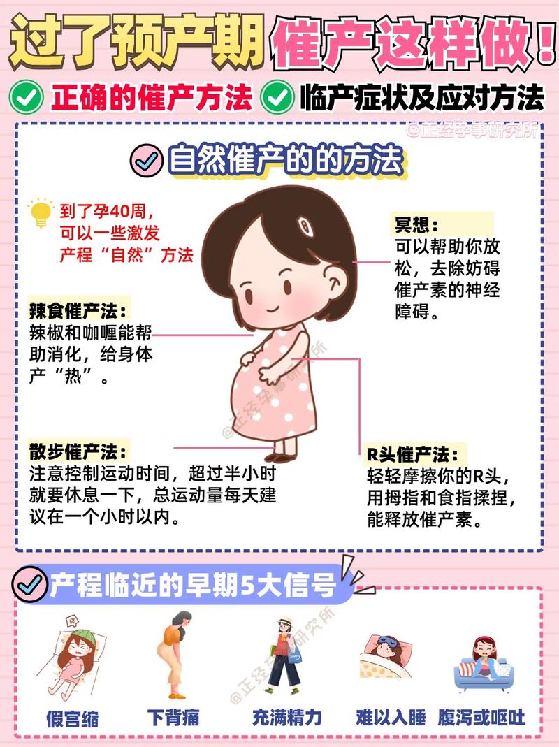 催卵步骤