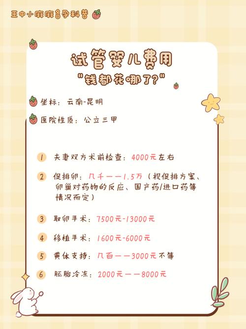 昆明试管婴儿费用全揭秘：多少钱才够？