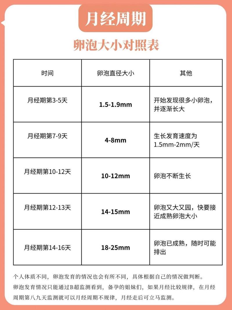 卵子分级