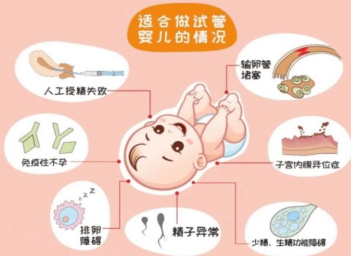 试管婴儿：人类生殖的新纪元？