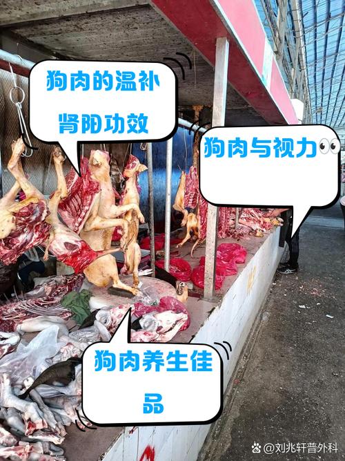 试管婴儿饮食禁忌：狗肉可吃吗？