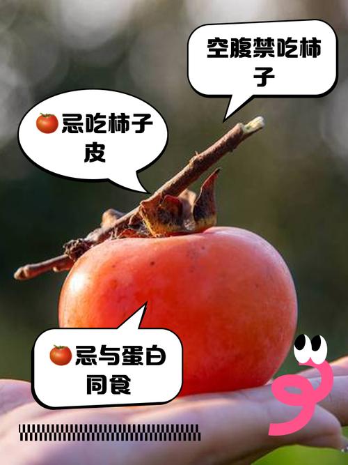 试管婴儿期间能否食用柿子？