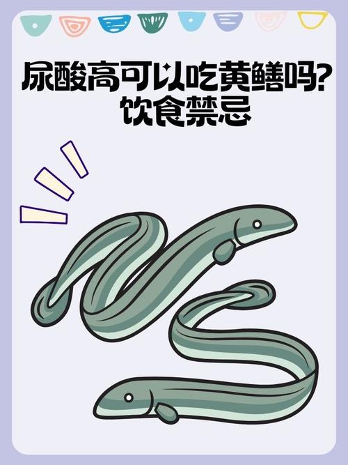 试管婴儿期间可以吃黄鳝吗？