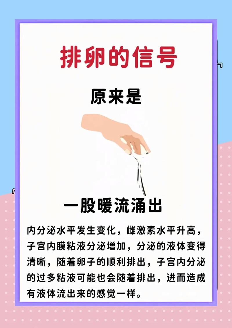 科学排卵