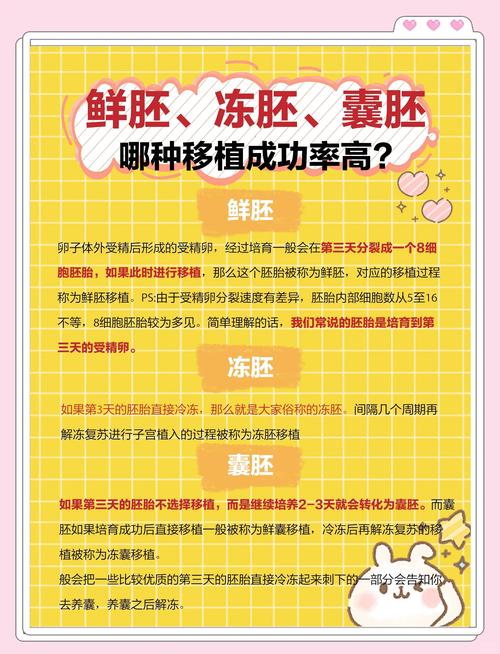 第5次试管婴儿移植还能成功吗？