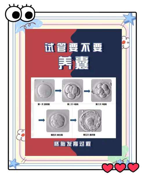 试管婴儿移植后如何养胎更健康？
