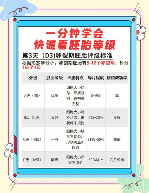 胚胎质量筛选