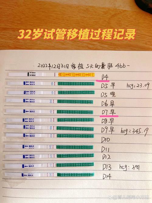 移植后14天
