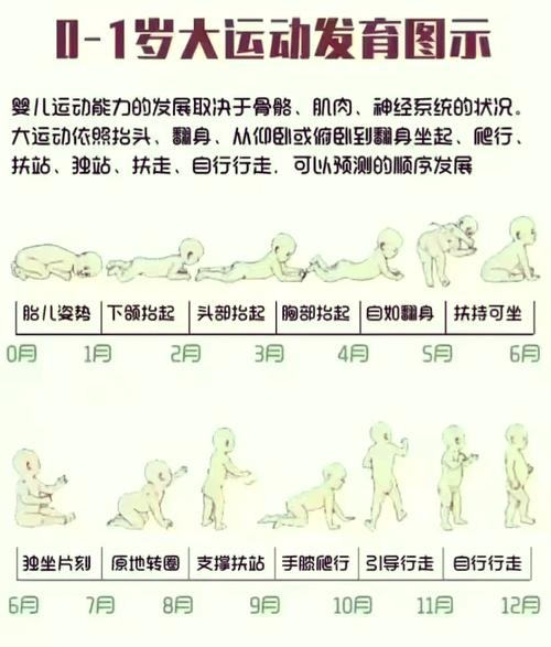 正常爬行发育