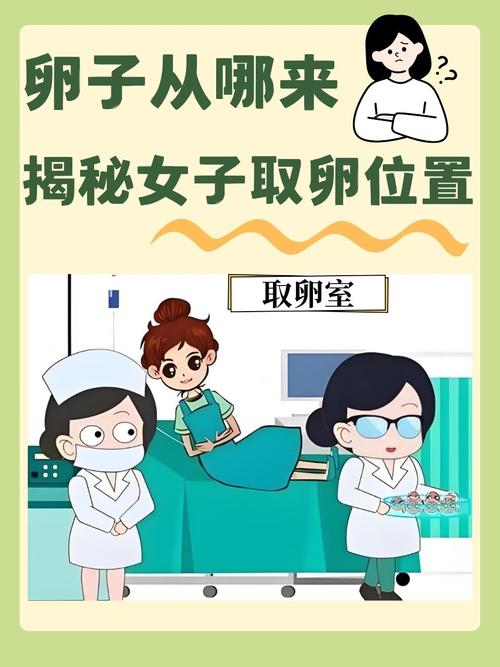  家庭梦想

<h1>试管婴儿技术：助您实现家庭梦想</h1>
<p>亲爱的朋友们，今天咱们来聊聊一个既温暖又充满希望的话题——试管婴儿技术。这不仅是一项医疗技术，更是许多家庭圆梦的起点。</p>

<h2>什么是试管婴儿技术？</h2>
<p>试管婴儿，也就是体外受精-胚胎移植技术（IVF-ET），是一种帮助那些因为各种原因无法自然受孕的夫妇实现生育梦想的生殖辅助技术。这项技术自1978年诞生以来，已经帮助无数家庭迎来了新生命。</p>

<h3>试管婴儿技术的发展历程</h3>
<p>试管婴儿技术的发