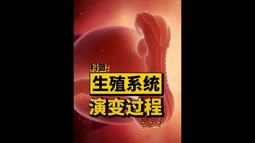 生殖技术发展