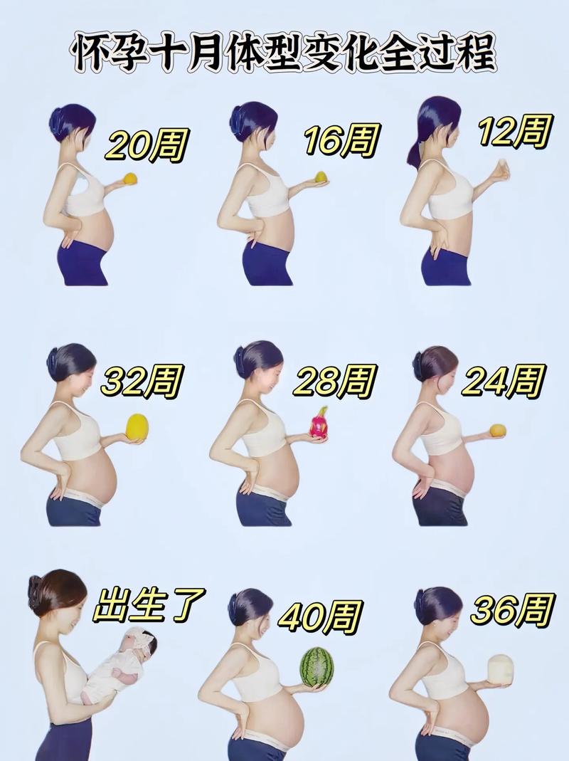  身体变化
