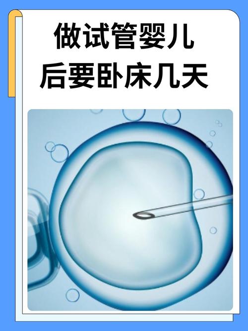 试管婴儿：需要卧床休息吗？
