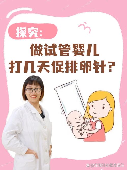 试管婴儿排便原因探究：何因何果？