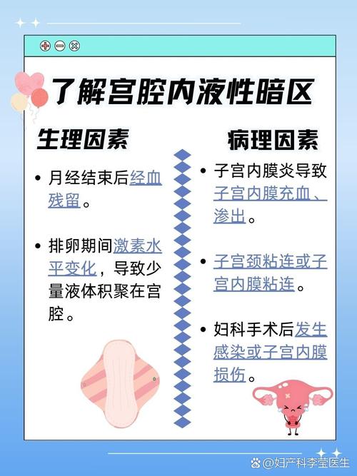 液性暗区