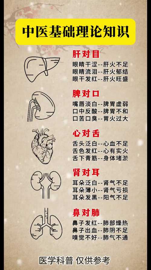 中医观点