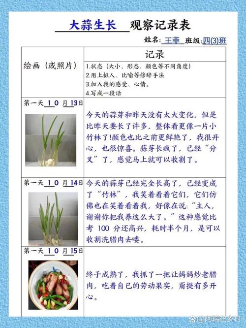 48天观察