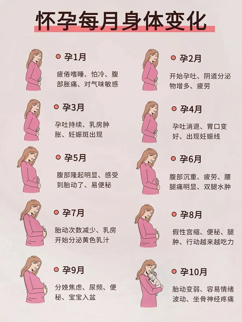 怀孕特征