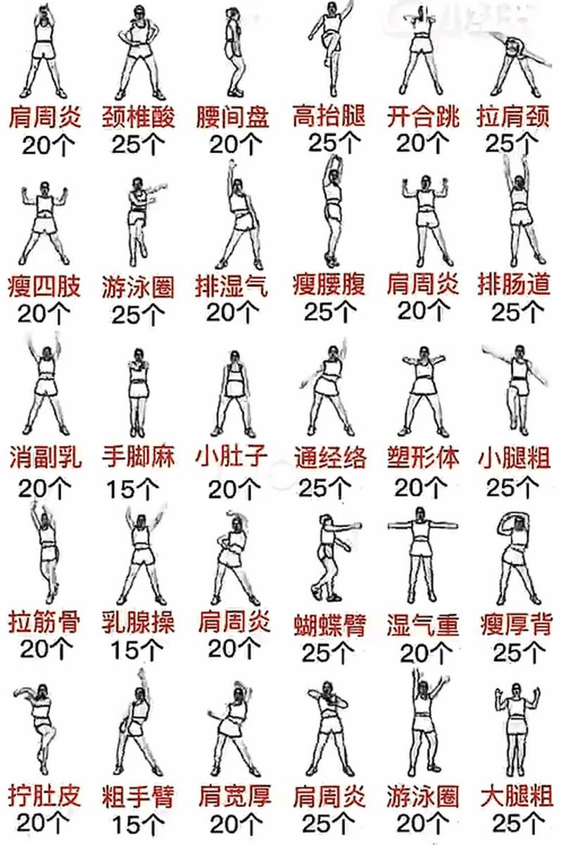  运动操