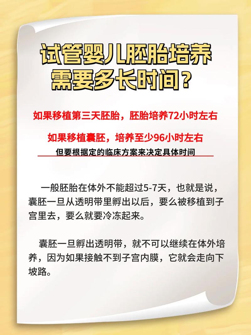 试管婴儿胚胎发育需要多久？