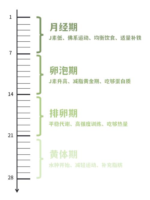 调降周期