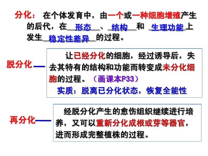 脱分化技术