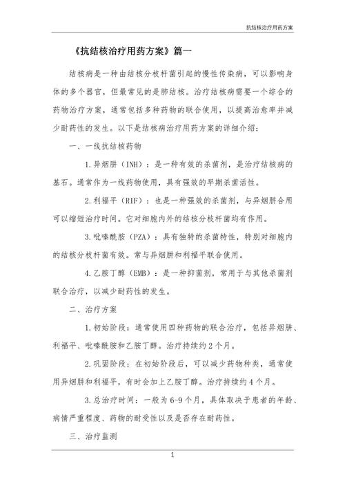 用药方案