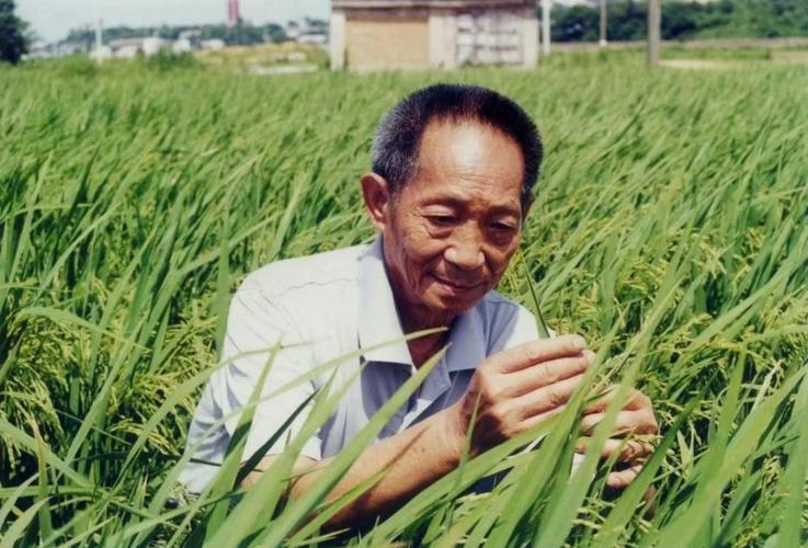 袁隆平
