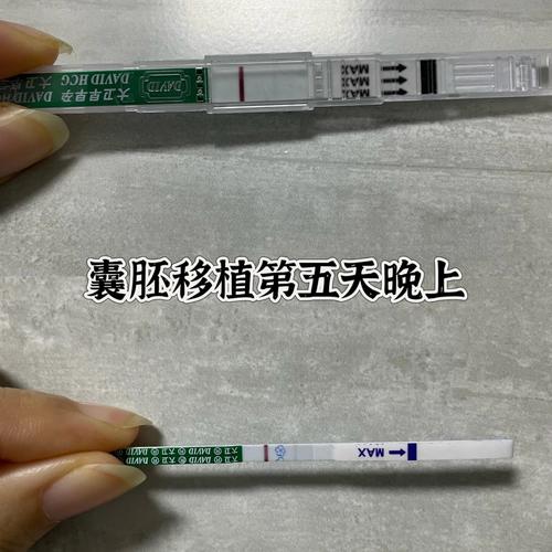 移植后不受孕