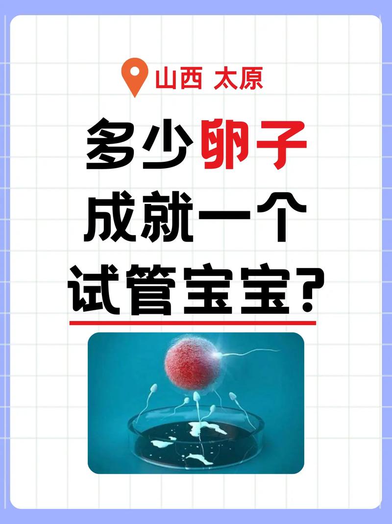 理想的试管婴儿卵泡数量是多少？