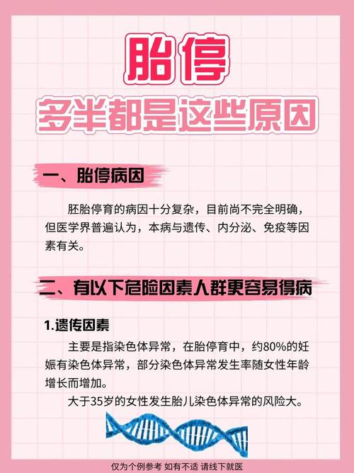 试管婴儿40天为何会停胎？