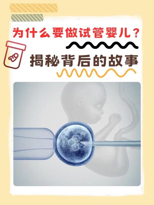 自然流产后该如何选择试管婴儿？