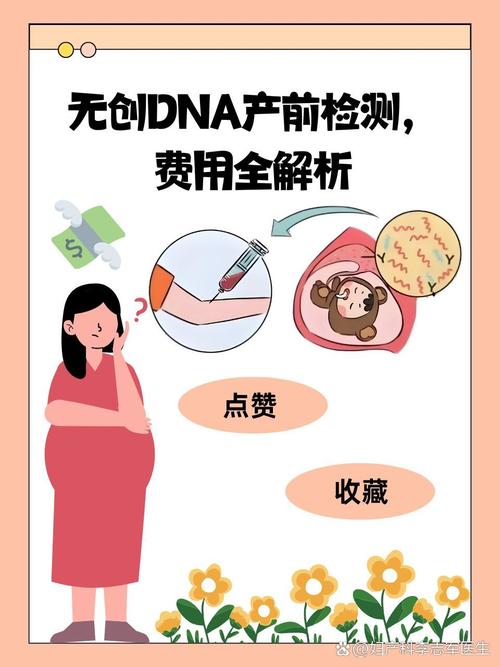 无创胚胎检测技术