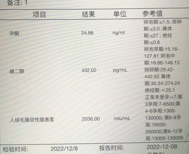 移植报告
