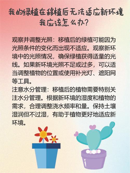 移植后观察