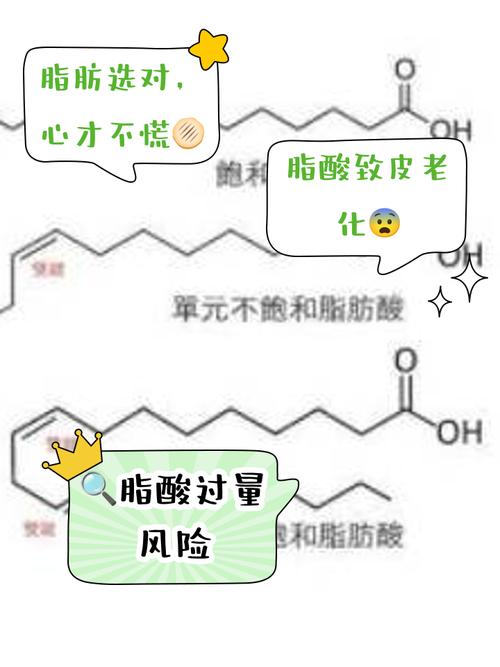 不饱和脂肪酸