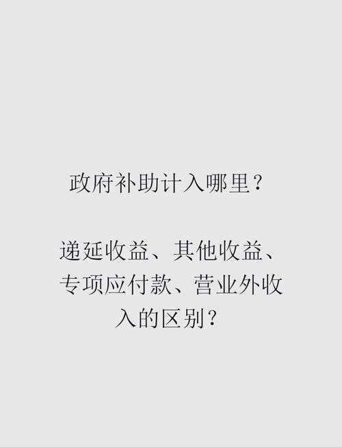 政府补助