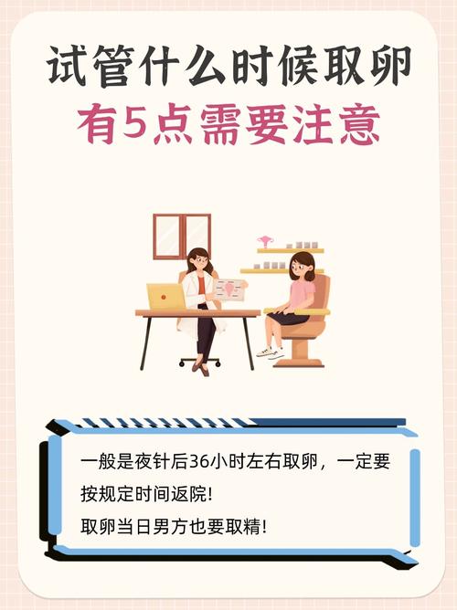 试管婴儿取卵后多久能回家？